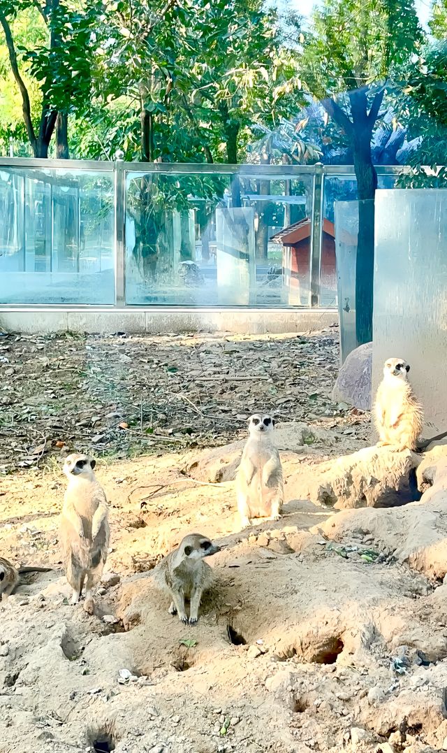 鄭州綠博園·國家4A級旅遊景區