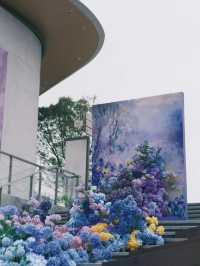 大運天地：繁花盛放的春天氛圍感，深圳蕞出片的公園