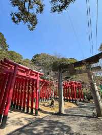 福岡探秘：幽冥地獄神社與清修南藏院之旅