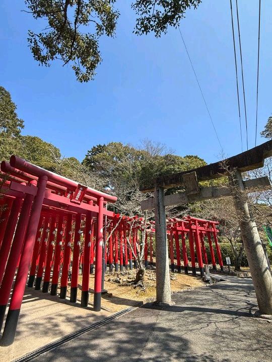 福岡探秘：幽冥地獄神社與清修南藏院之旅