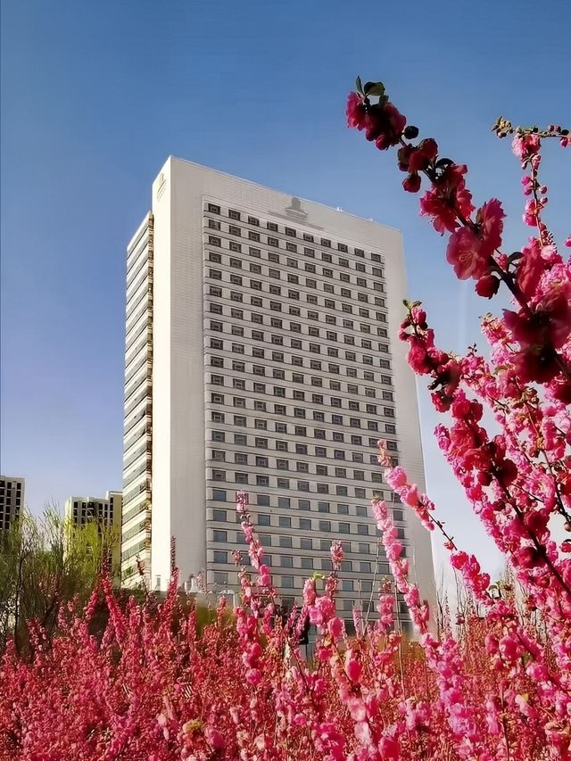 滄州金獅國際酒店住宿體驗，為您帶來全新感受！