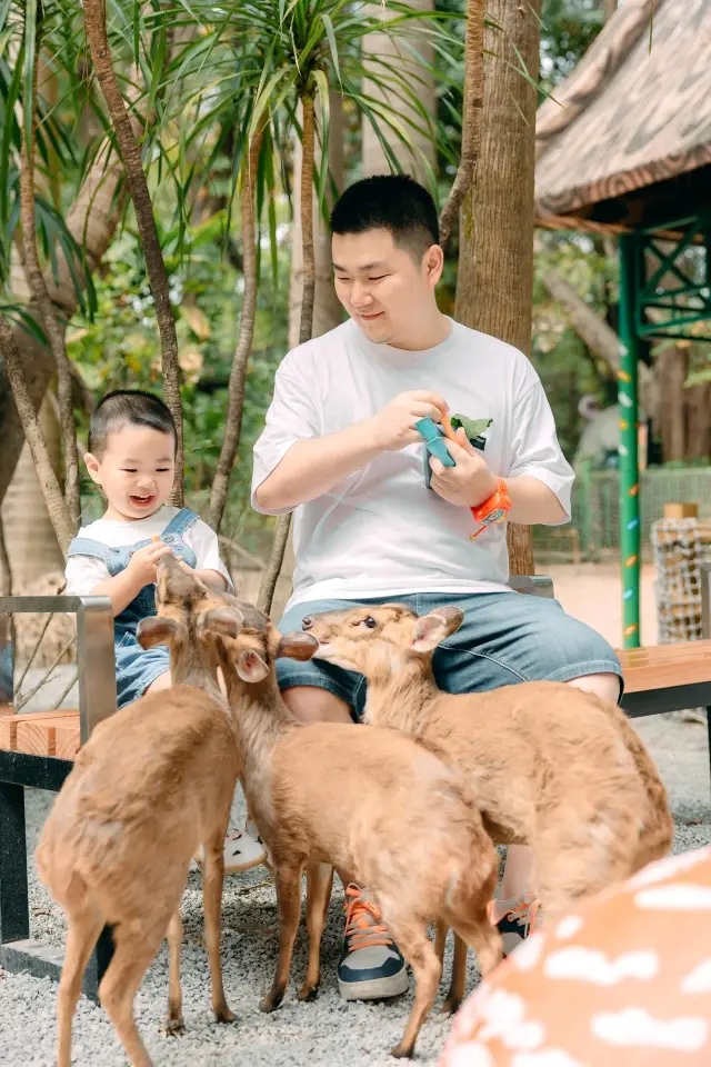 Guangzhou Chimelong Family Trip: 3 Days and 2 Nights Super Complete Guide (2025 New Edition)