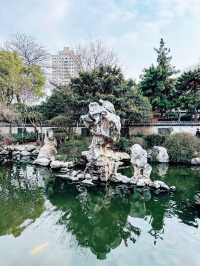 鄭州｜紫金山公園｜春日限定｜梅櫻共舞嘅浪漫奇遇