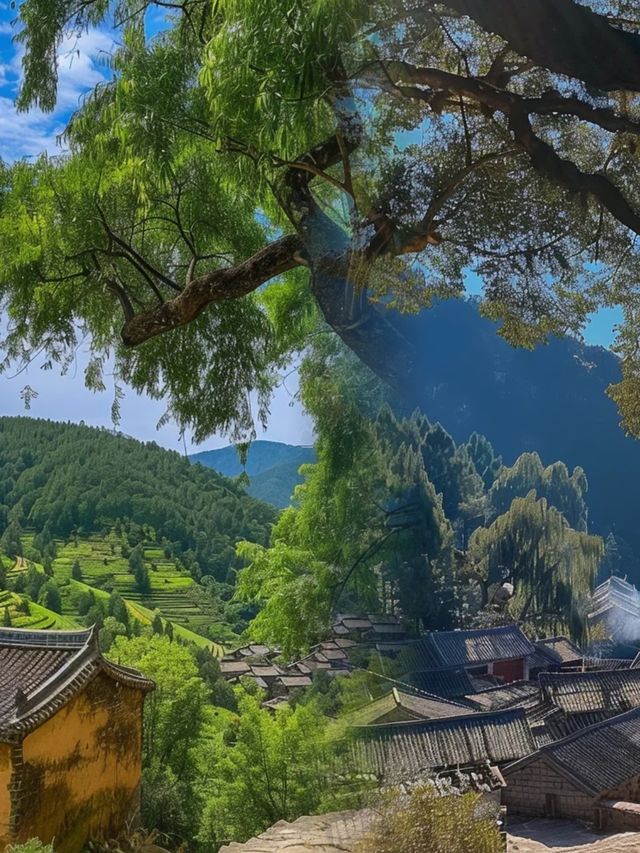 2 - 3 月喺松陽邂逅，小眾寶藏地，美到令人說不出話！