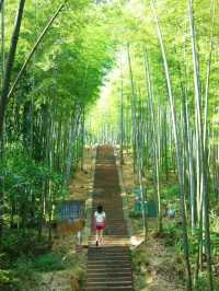 入住赤水侏羅紀酒店，開啟奇妙之旅啦