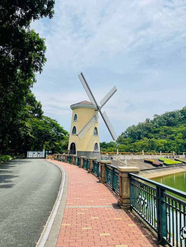 深圳文谷莊園➡️帶埋小朋友一齊玩啦👨‍👩‍👧‍👦
