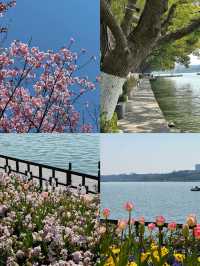春日邂逅玄武湖，解鎖金陵浪漫之旅！