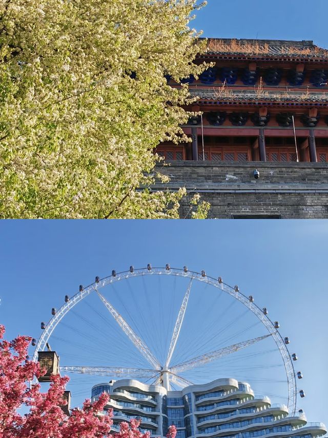 第一次去聊城，差啲返唔到