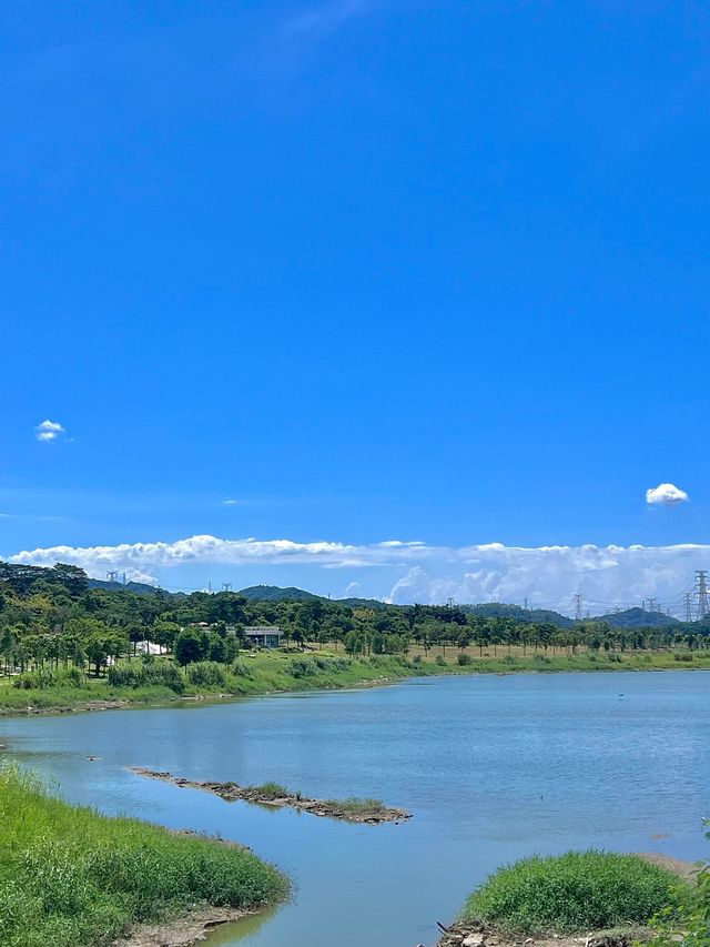 石岩湖濕地公園 | 環湖徒步騎行天花板