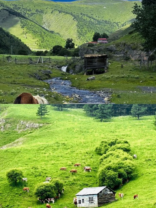《阿爾山：在木屋與氈房間，觸摸北疆靈魂》