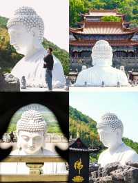 溧水旅行｜龍貓海草東廬山森系與落日詩意