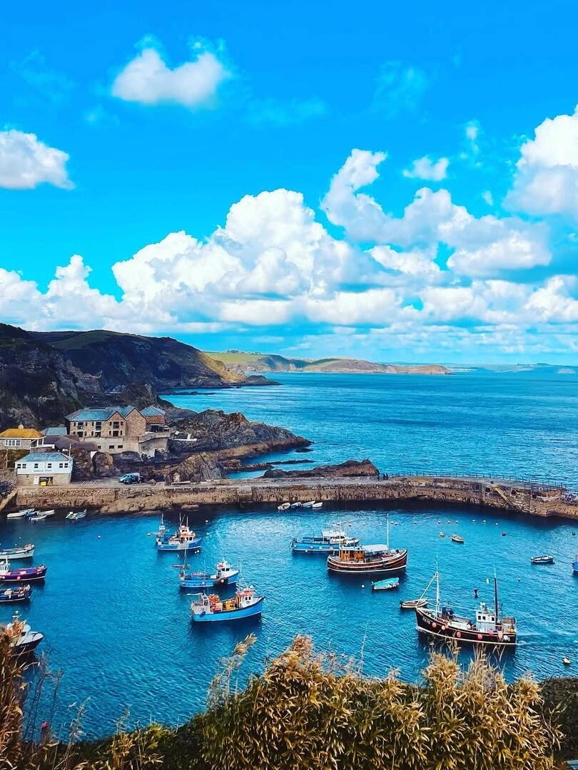 Tôi nghĩ New Zealand đã đẹp rồi khi tôi đến đây