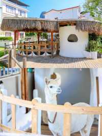 同閨蜜住進陽朔橘白，遇龍河邊嘅童話城堡