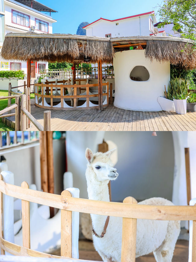 同閨蜜住進陽朔橘白，遇龍河邊嘅童話城堡
