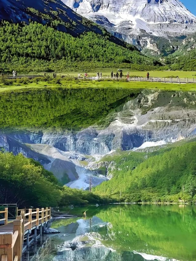 雪山同草原打交，你撐邊個？"