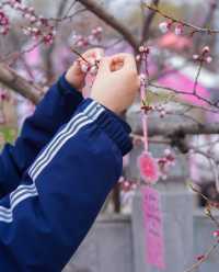 5月嘅佳木斯，追到咗東北第一場花海