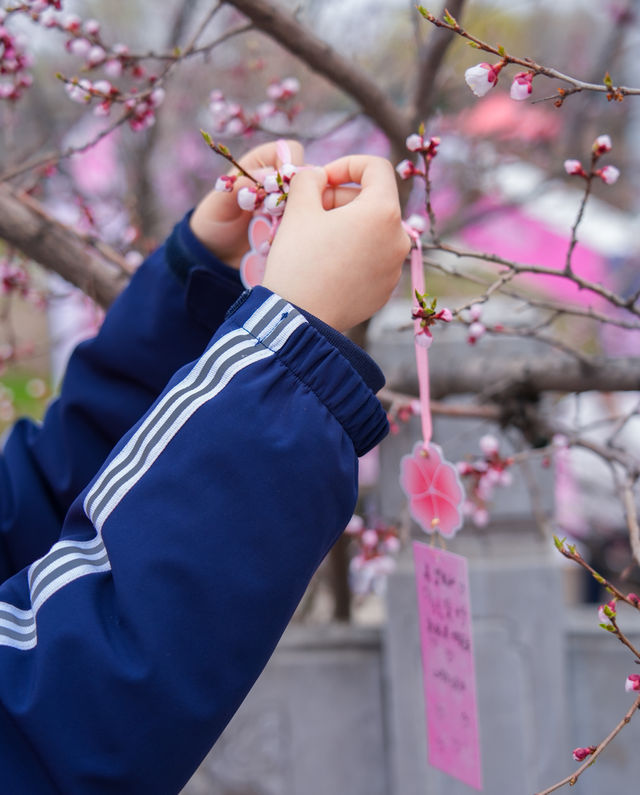5月嘅佳木斯，追到咗東北第一場花海