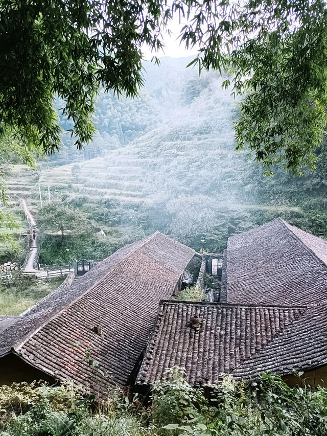隱於雲和山間的秘境 石坑村讓你逃離喧囂
