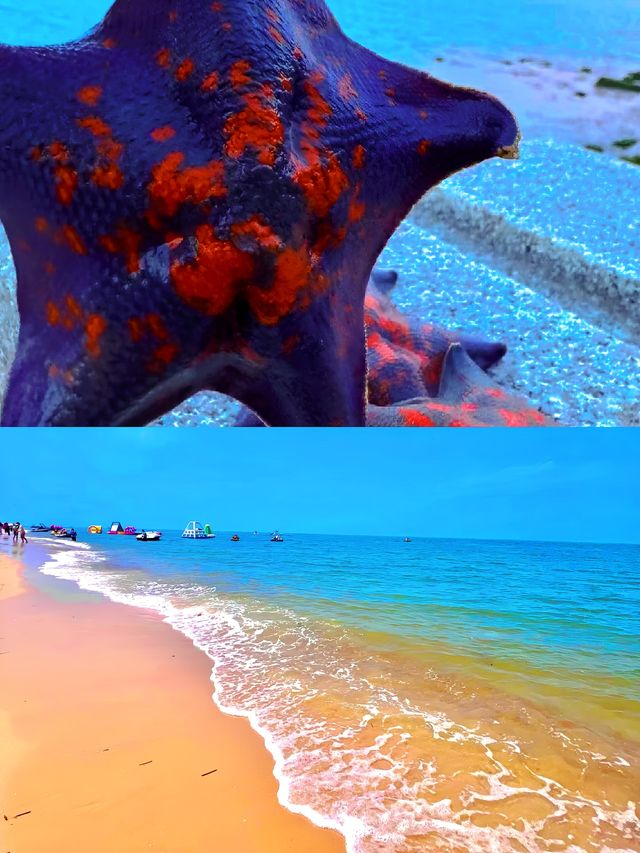 小石島趕海旅遊文案：赴一場與大海的浪漫奇遇