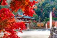 日本關西秘境──大阪勝尾寺