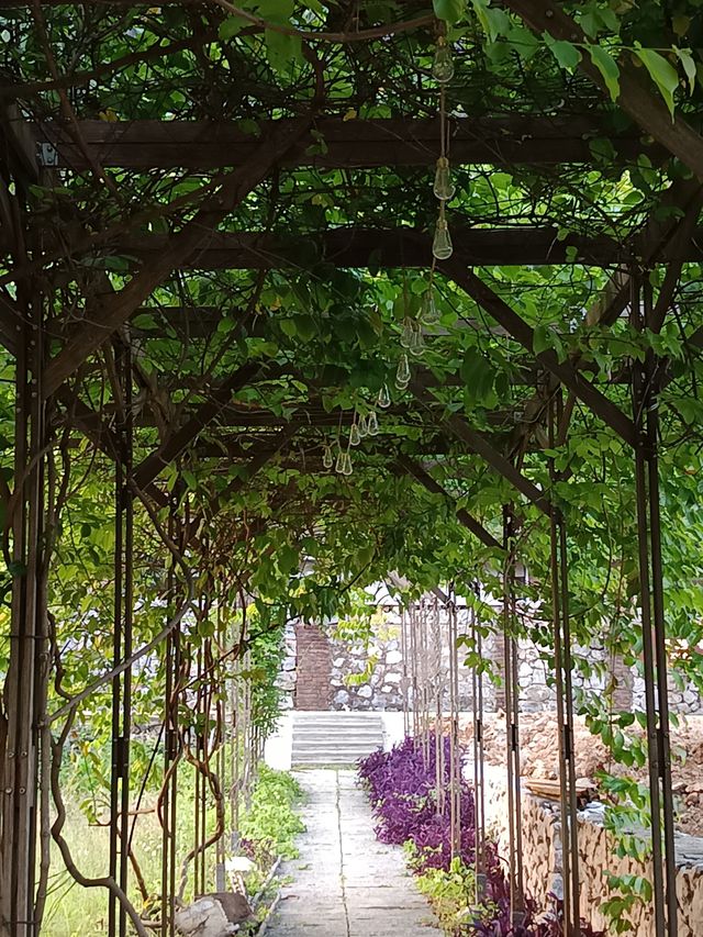 炎炎夏日～將自己投入大山中吸氧吧