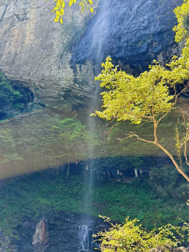 一山一藥王，一景一傳奇——藥王山深度體驗