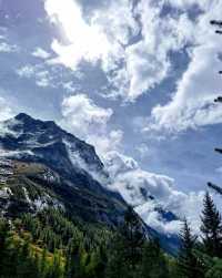 以下是一份四姑娘山旅遊攻略，希望能助你擁有一段美好的旅程。   前期準備   - 證件類：攜帶身份證