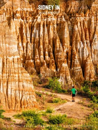 Regret not coming earlier‼ ️The wonders of the earth forest that are on your bucket list
