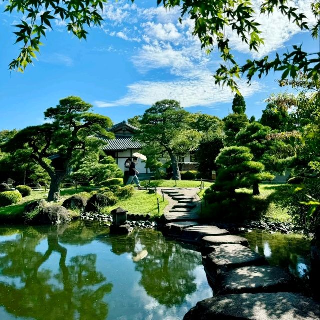 關西秘境！姬路城旁的日式園林天花板🌿