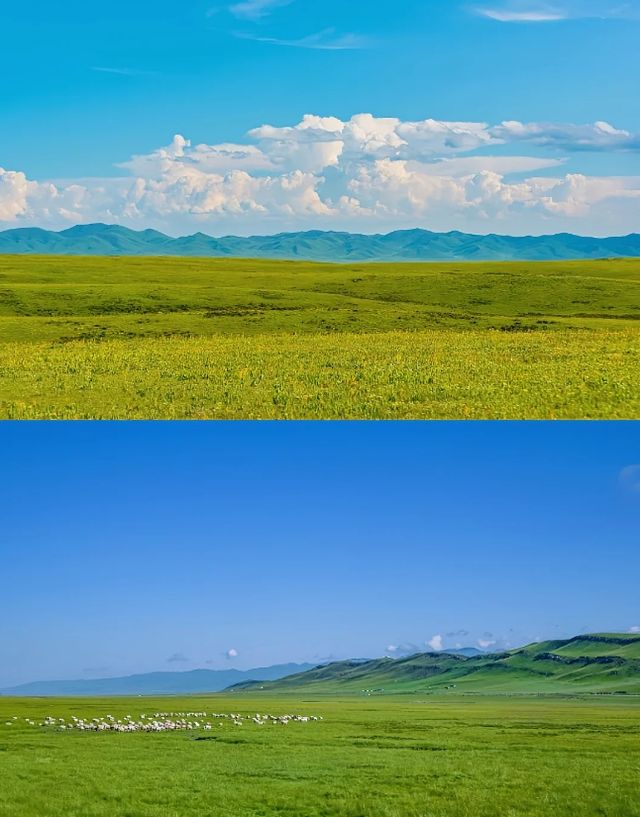 探秘甘南：邂逅人間淨土的詩意之旅