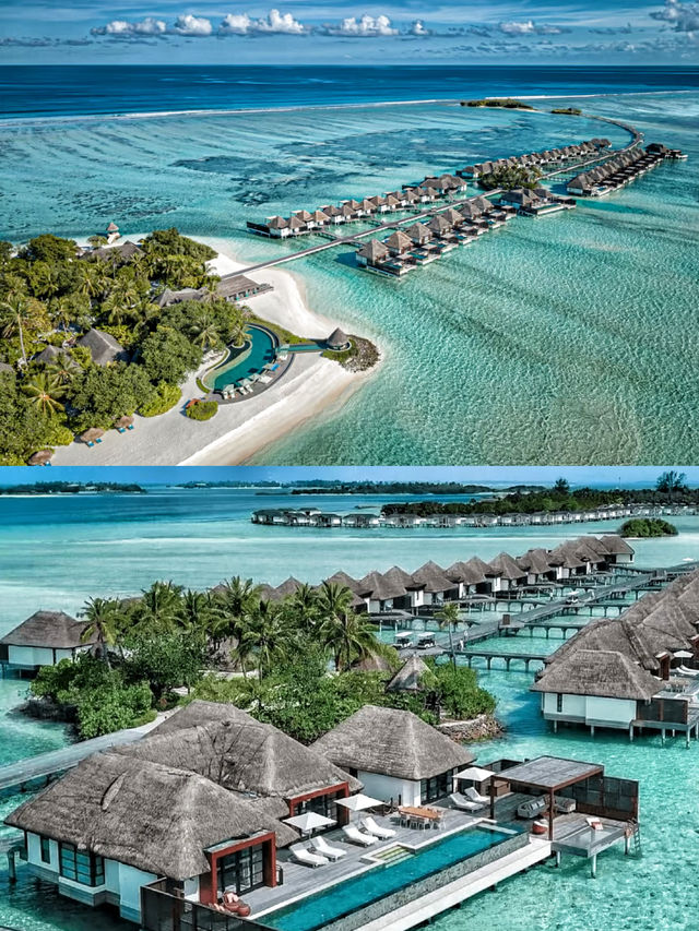 馬爾代夫庫達呼拉島四季度假酒店 跳進海島的夏天