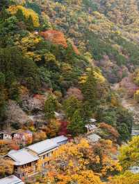 京都2日遊｜人均2千+輕鬆玩轉