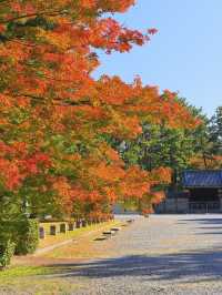 京都2日遊｜人均2千+輕鬆玩轉