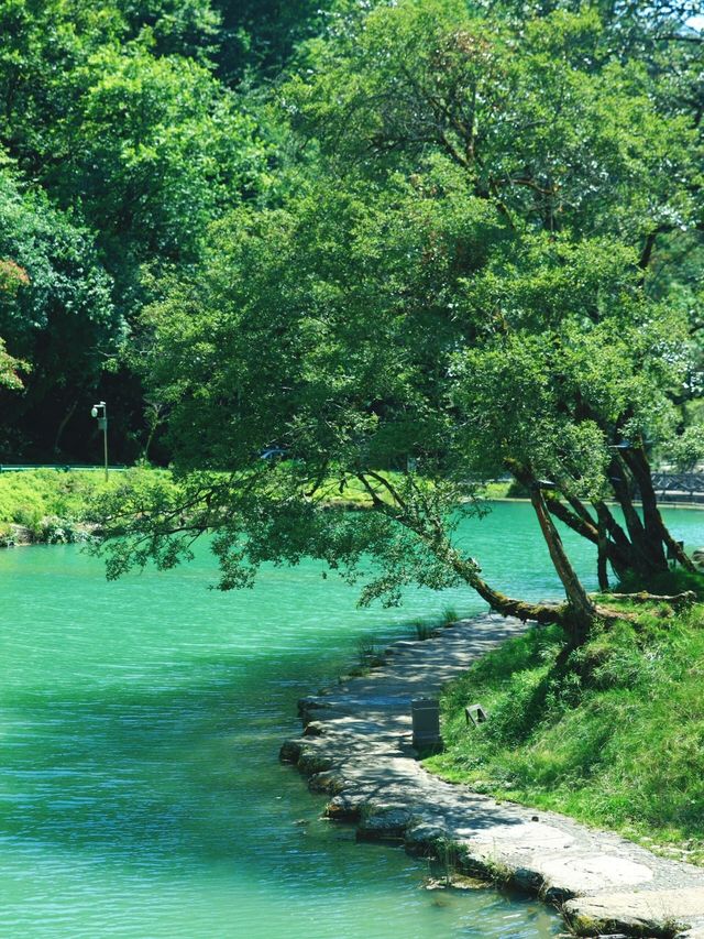 炎炎夏日，想逃離成都嘅酷熱？喇叭河呢個小眾避暑秘境，