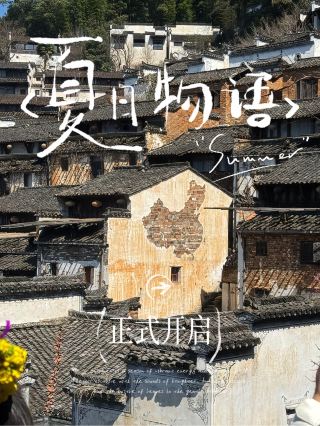 피눈물 교훈! 계획 없이 장시 여행하면 정말 무너진다!