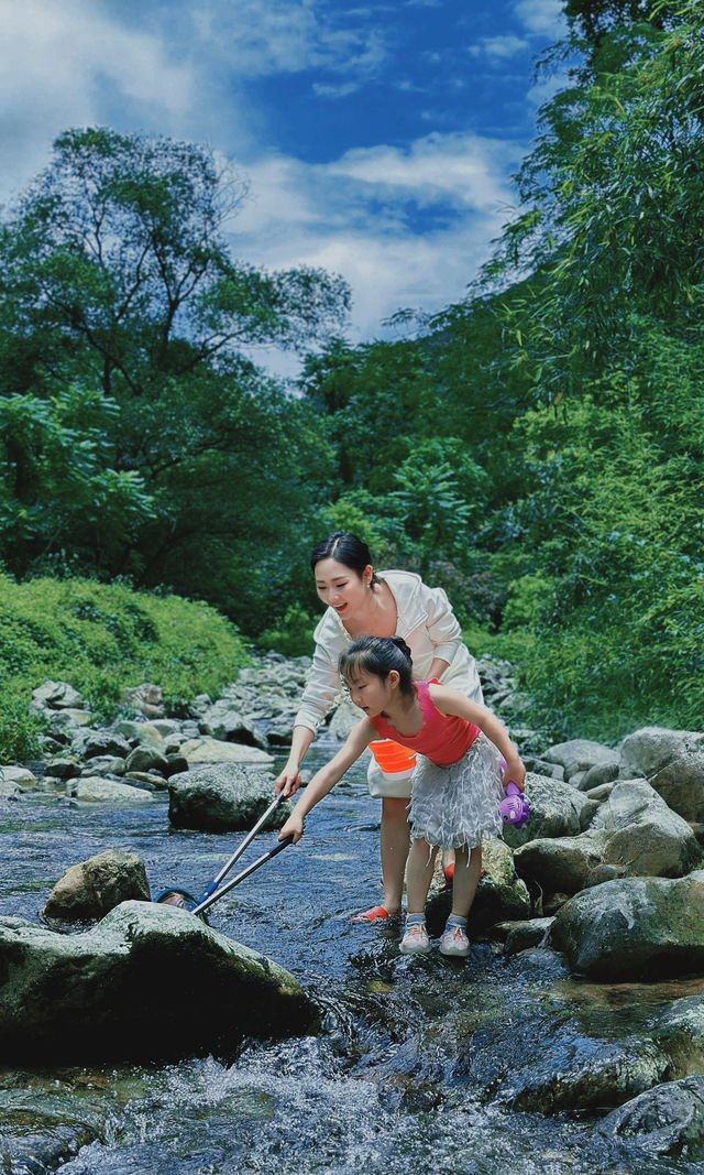 江浙滬2小時直達！闖入23℃嘅綠野仙蹤玩水