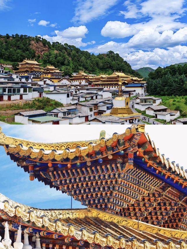 西藏的平替—甘南。