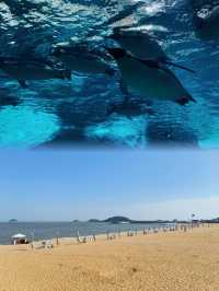 唔好趕路，去感受路！珠海超正三日兩夜攻略