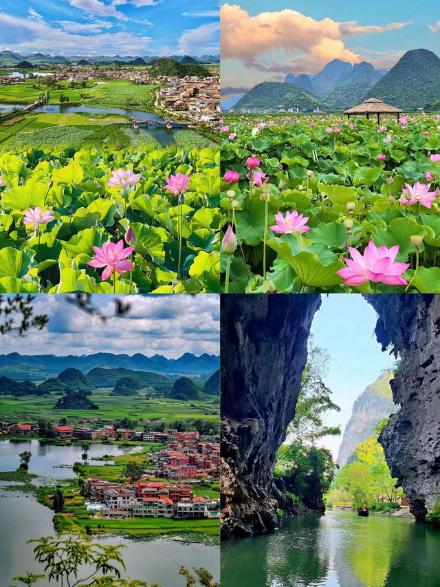 衝入現實版《三生三世》！普者黑的夏天美到窒息