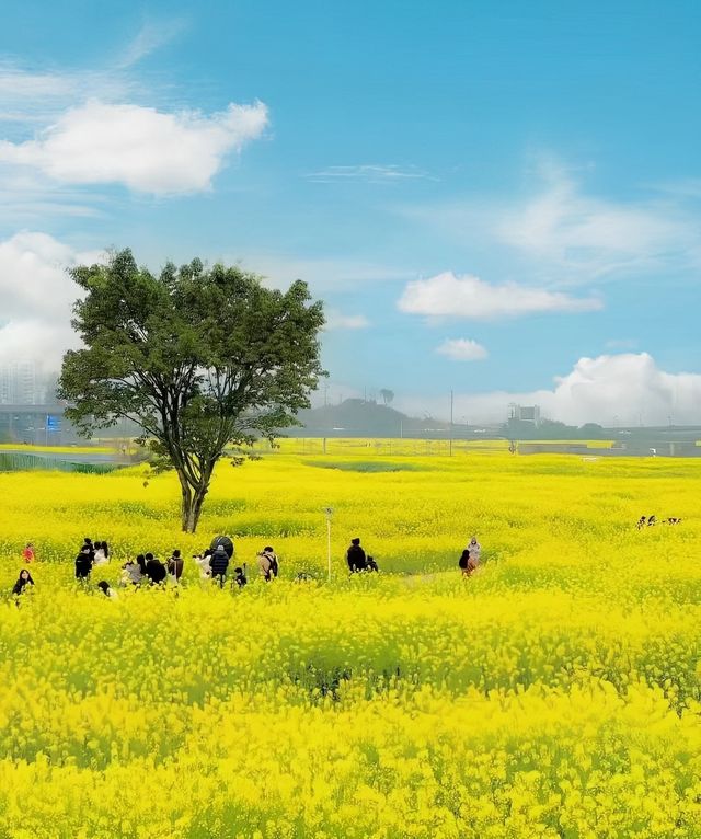 崇州半畝方塘民宿｜避暑天花板被我發現了！