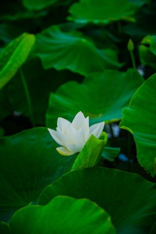 A must-visit hidden gem for family trips in Jianshui
