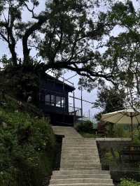 山水之間，輕語慢行｜烏來水岸溫泉會館