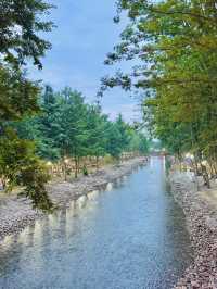 傳說中嘅No.1營地｜包三餐踩水捉泥鰍