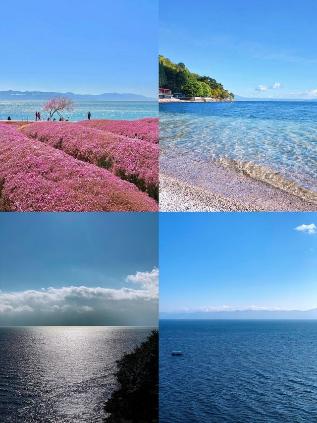 去有風嘅地方 | 撫仙湖超全攻略