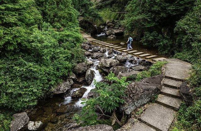 茶園村：隱於金華嘅山水詩境