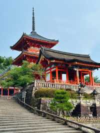 京都真係玩唔厭，去咗仲想再去。