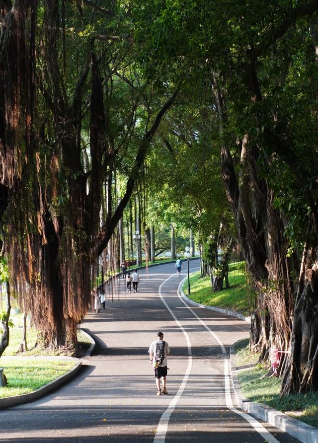 廈門集美學村漫遊指南 | 住錦江之星，邂逅夏日美好   想逃離城市喧囂，來一場輕鬆愜意的短途遊？