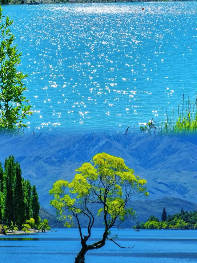 紐西蘭醉美湖光山色