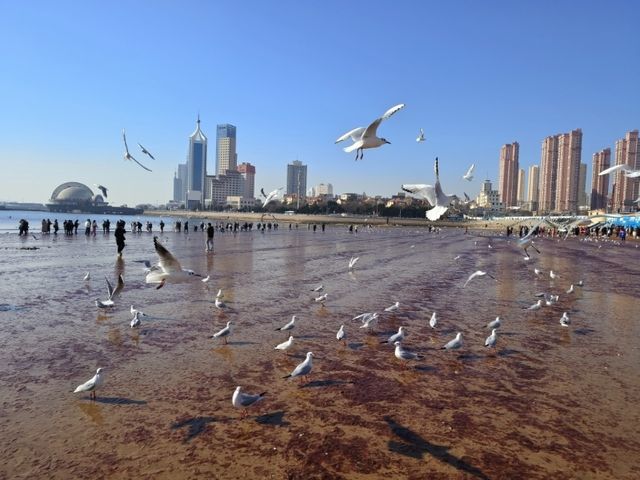安全又溫馨！桔子酒店係我嘅青島快樂老家