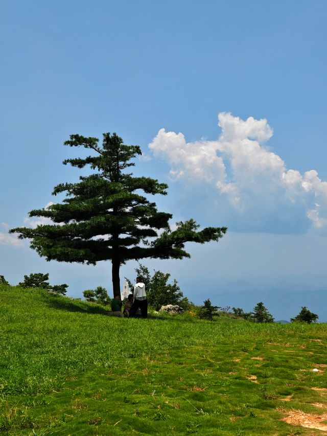 在湖北！21º嘅高山草原，夏天真係舒服到震～